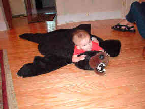 Click to popup fullsize image