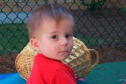 Click to popup fullsize image