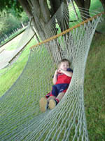 Click to popup fullsize image