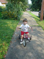 Click to popup fullsize image