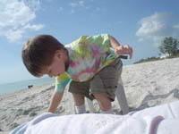 Click to popup fullsize image