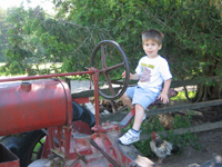 Click to popup fullsize image