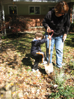 Click to popup fullsize image