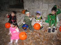 Click to popup fullsize image