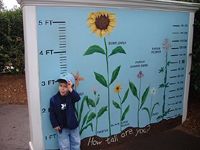 Click to popup fullsize image