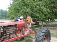 Click to popup fullsize image