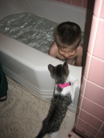 Click to popup fullsize image