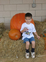 Click to popup fullsize image