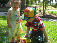 Click to popup fullsize image