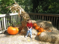 Click to popup fullsize image