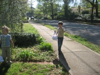 Click to popup fullsize image