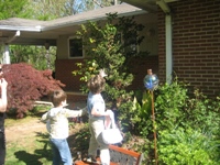 Click to popup fullsize image