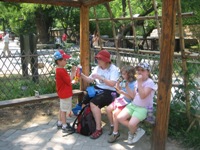 Click to popup fullsize image