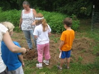 Click to popup fullsize image