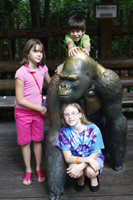 Click to popup fullsize image