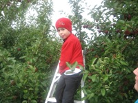 Click to popup fullsize image