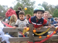 Click to popup fullsize image