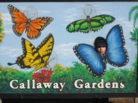 Click to popup fullsize image