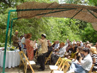 Click to popup fullsize image